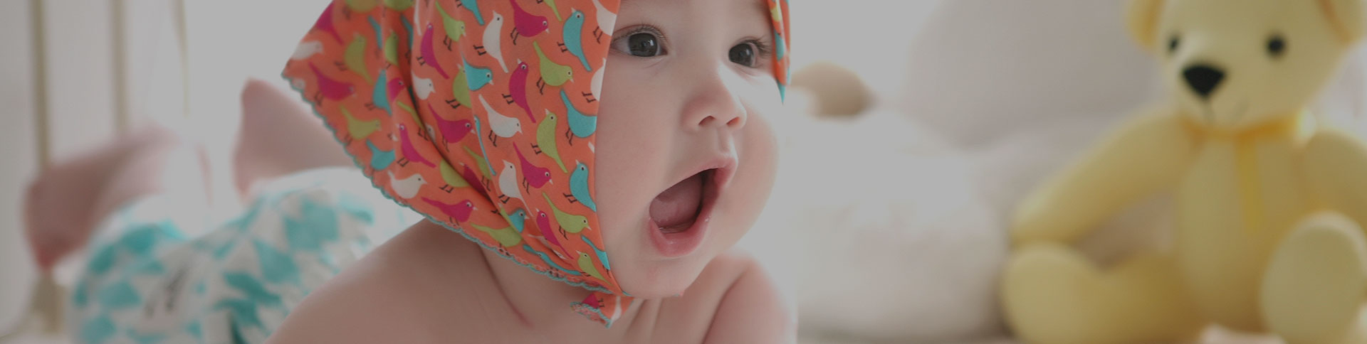 寶拾貳·電子商務(wù)平臺(tái)|一網(wǎng)天行-網(wǎng)站建設(shè)小程序APP系統(tǒng)軟件開(kāi)發(fā)公司