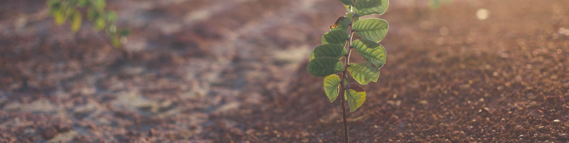 微源生物企業(yè)宣傳網(wǎng)站|一網(wǎng)天行-網(wǎng)站建設(shè)小程序APP系統(tǒng)軟件開發(fā)公司