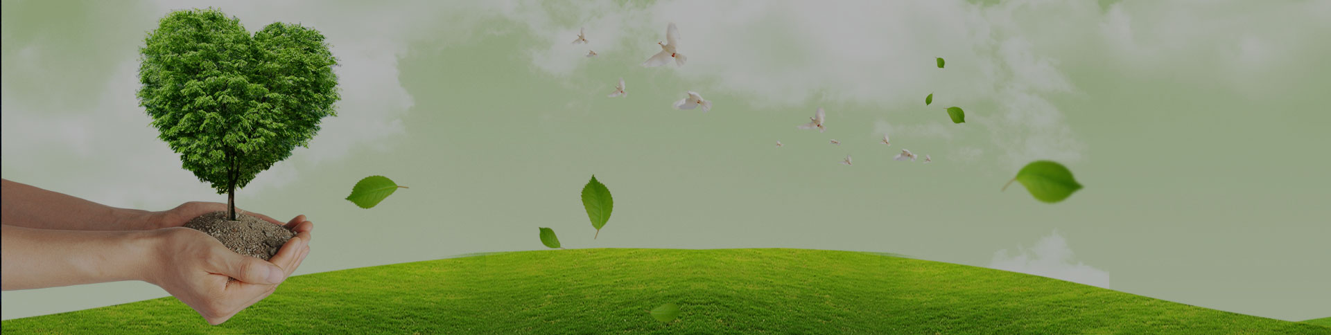 吉林天澤企業(yè)宣傳網(wǎng)站|一網(wǎng)天行-網(wǎng)站建設小程序APP系統(tǒng)軟件開發(fā)公司