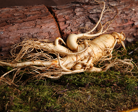 正德藥業(yè)-品牌營(yíng)銷網(wǎng)站